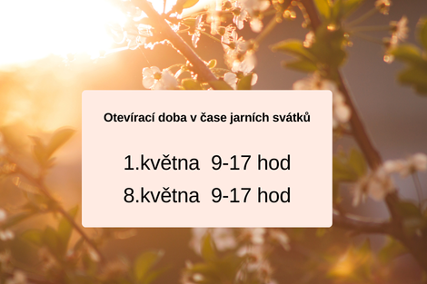 web pozvánka 1